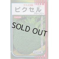 送料無料　[ブロッコリー]　ピクセル　2000粒　(株)サカタのタネ