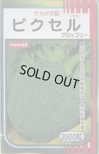 送料無料　[ブロッコリー]　ピクセル　2000粒　(株)サカタのタネ