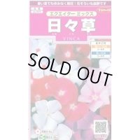 送料無料　花の種　日々草　エクエイターミックス　約58粒　(株)サカタのタネ　実咲350（026124）