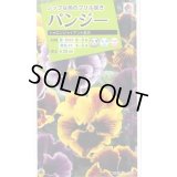 送料無料　花の種　パンジー　シャロンジャイアント混合　0.3ml　タキイ種苗