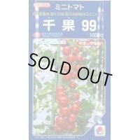 送料無料　[トマト/ミニトマト]　千果99　1000粒　タキイ種苗(株)