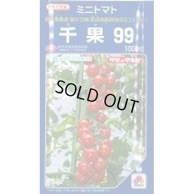 画像1: 送料無料　[トマト/ミニトマト]　千果99　1000粒　タキイ種苗(株)