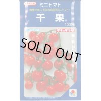 送料無料　[トマト/ミニトマト]　千果　1000粒　タキイ種苗(株)