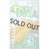 送料無料　[とうもろこし]　わくわくコーン82　100粒　カネコ交配