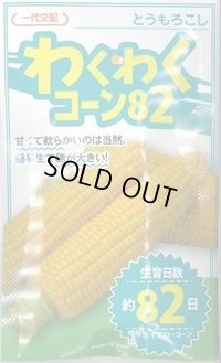 送料無料　[とうもろこし]　わくわくコーン82　100粒　カネコ交配