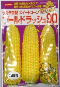 送料無料　[とうもろこし]　ゴールドラッシュ90　200粒　(株)サカタのタネ