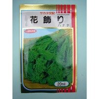 送料無料　[葉物]　はなな　花飾り　20ml　（株）サカタのタネ