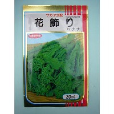 画像1: 送料無料　[葉物]　はなな　花飾り　20ml　（株）サカタのタネ