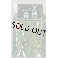 送料無料　[枝豆]　青豊　70ml(およそ120粒)　雪印種苗(株)