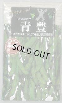 送料無料　[枝豆]　青豊　70ml(およそ120粒)　雪印種苗(株)