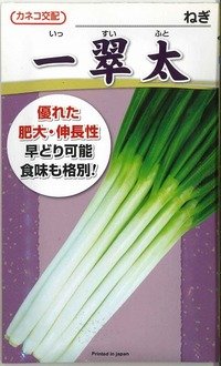 野菜種 ネギ の通販 グリーンロフトネモト通信販売サイト