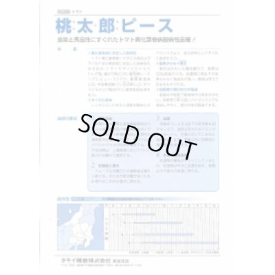 画像3: 送料無料　[トマト/桃太郎系]　桃太郎ピース　ペレット1000粒　タキイ種苗