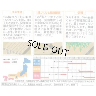 画像2: 送料無料　[人参]　ベビーキャロット　ミニニンジン　約1200粒　(株)サカタのタネ　実咲250（003117）