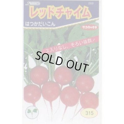 画像2: [シーダー種子]　はつかだいこん　レッドチャイム　1粒×3cm間隔100ｍ