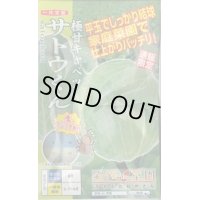 送料無料　[キャベツ]　極甘サトウくん　40粒　ナント種苗（株）