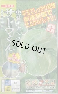 送料無料　[キャベツ]　極甘サトウくん　40粒　ナント種苗（株）