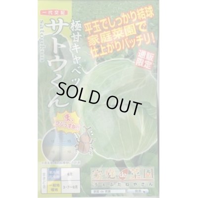 画像1: 送料無料　[キャベツ]　極甘サトウくん　40粒　ナント種苗（株）