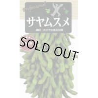 送料無料　[枝豆]　サヤムスメ　70ml(およそ120粒)雪印種苗(株)