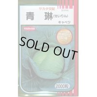 送料無料　[キャベツ]　青琳　2000粒　（株）サカタのタネ