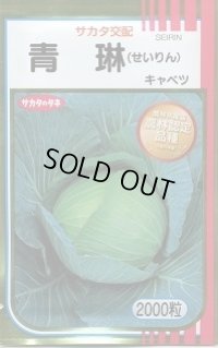 送料無料　[キャベツ]　青琳　2000粒　（株）サカタのタネ