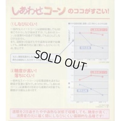 画像2: [とうもろこし]　しあわせコーン　2000粒(2024年10%増量)(株)サカタのタネ