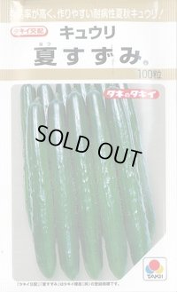 送料無料　[キュウリ]　夏すずみ　100粒　タキイ種苗(株)