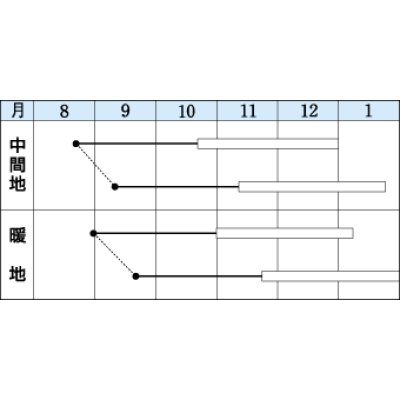 画像2: 送料無料　[葉物]　秋華　5ml　タキイ種苗(株)　GF