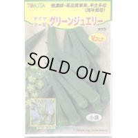 送料無料　[オクラ]　グリーンジュエリー　100粒　トキタ種苗(株)