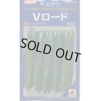 送料無料　[キュウリ]　Vロード　350粒　タキイ種苗(株)