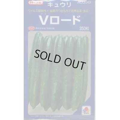 画像1: 送料無料　[キュウリ]　Vロード　350粒　タキイ種苗(株)