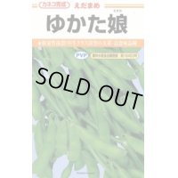 送料無料　[枝豆]　ゆかた娘　100粒　カネコ種苗