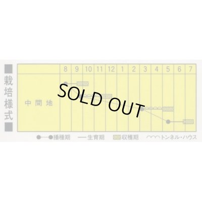 画像4: 送料無料　[かぶ]　ゆきわらし　20ml　カネコ交配