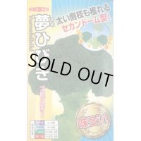 送料無料　[ブロッコリー]　夢ひびき　0.7ml(約90粒)　ナント種苗(株)