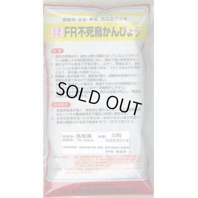 画像2: 送料無料　[台木/スイカ用]　ＦＲ不死鳥かんぴょう　500粒　大和農園