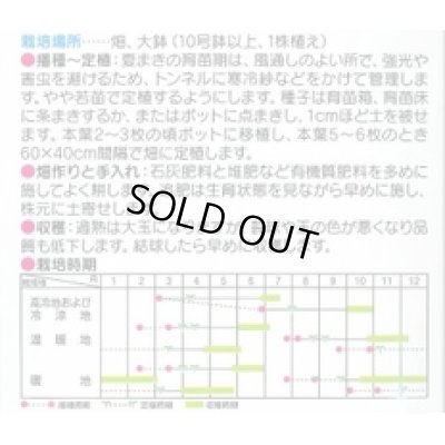 画像2: 送料無料　[キャベツ]　金系201号　約65粒　(株)サカタのタネ　実咲450（002912）