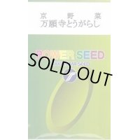 送料無料　[とうがらし]　万願寺とうがらし　20ml　(株)タカヤマシード