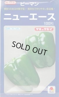 送料無料　[ピーマン]　ニューエース　1000粒　タキイ種苗(株)