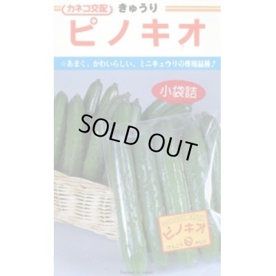 画像1: 送料無料　[キュウリ]　ピノキオ　350粒　カネコ交配