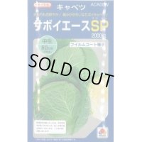 送料無料　[キャベツ]　サボイエースSP　2000粒　タキイ種苗(株)