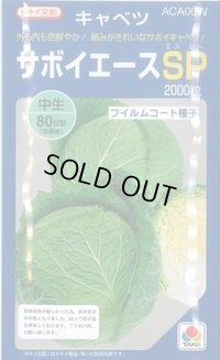 送料無料　[キャベツ]　サボイエースSP　2000粒　タキイ種苗(株)