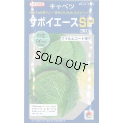 画像1: 送料無料　[キャベツ]　サボイエースSP　2000粒　タキイ種苗(株)