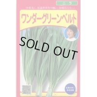 送料無料　[葉物]　ニラ　ワンダーグリーンベルト　20ml(およそ2,160粒)(株)武蔵野種苗園