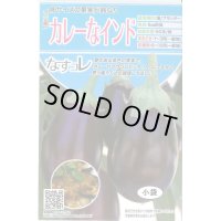 送料無料　[なす]　カレーなインド　20粒　トキタ種苗(株)