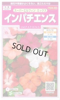 送料無料　花の種　インパチェンス　スーパーエルフィンミックス　約25粒　(株)サカタのタネ　実咲350　（026094）