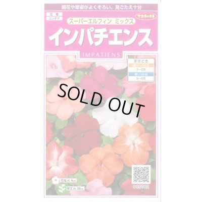 画像1: 送料無料　花の種　インパチェンス　スーパーエルフィンミックス　約25粒　(株)サカタのタネ　実咲350　（026094）