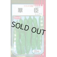 送料無料　[ししとう]　翠臣　20ml　(株)サカタのタネ