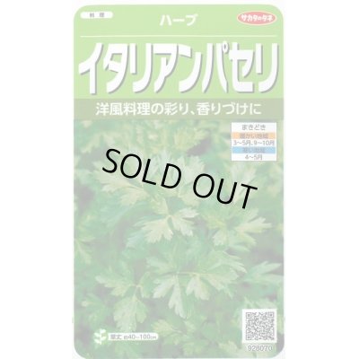 画像1: 送料無料　[ハーブの種]　イタリアンパセリ　約350粒　(株)サカタのタネ　実咲（003178）