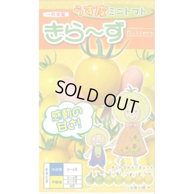 画像1: 送料無料　[トマト/ミニトマト]　きら〜ず　15粒　ナント種苗(株)