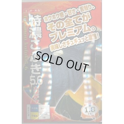 画像1: 送料無料　[かぼちゃ]　特濃こふき5.6　100粒　ナント種苗(株)