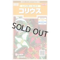 送料無料　花の種　コリウス　レインボーミックス　約72粒　(株)サカタのタネ　実咲200（026332）